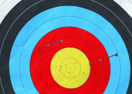 target with arrows in it